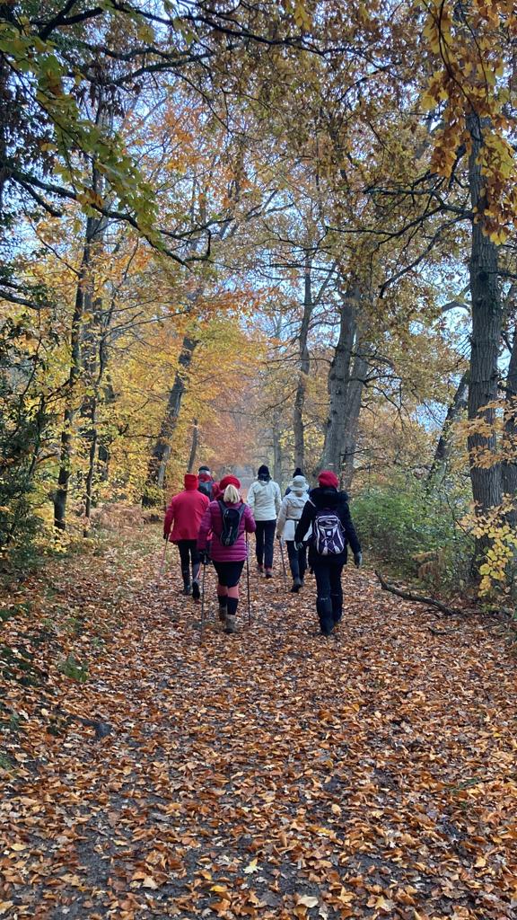 FOCUS Club : Gym Club Seichois