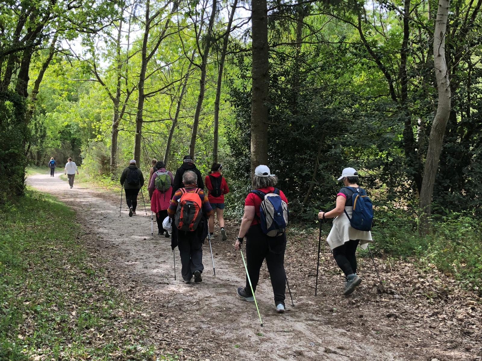 MA SANTE EN MARCHE 2026 c&rsquo;est parti !